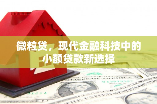 琼结微粒贷，现代金融科技中的小额贷款新选择