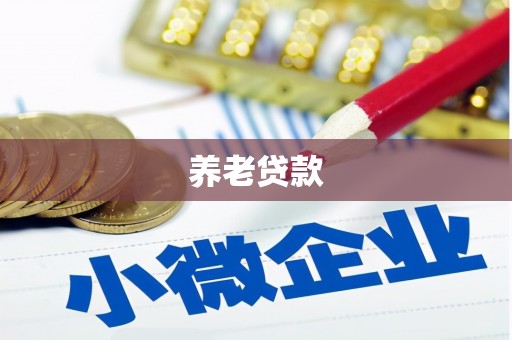 中区养老贷款