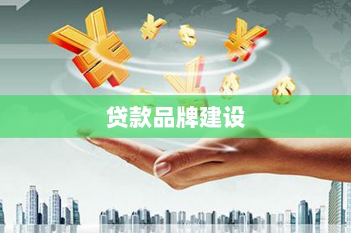 天峨贷款品牌建设