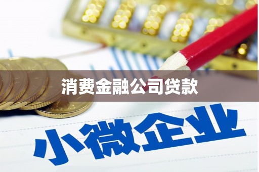 九台消费金融公司贷款
