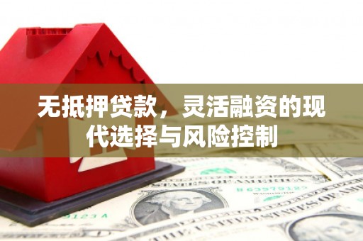 玉树无抵押贷款，灵活融资的现代选择与风险控制