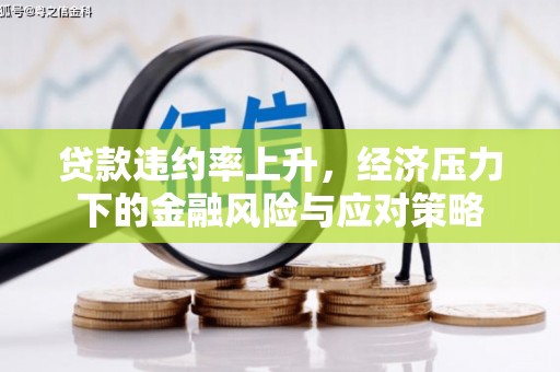 汉源贷款违约率上升，经济压力下的金融风险与应对策略