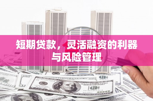 新洲短期贷款，灵活融资的利器与风险管理